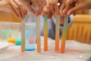  Les participants du 2<sup>e</sup> groupe