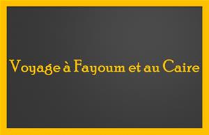 Voyage au Fayoum et au Caire
