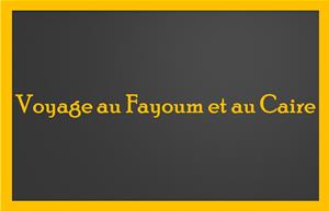 Voyage au Fayoum et au Caire