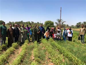  Les participants du séjour à Assouan