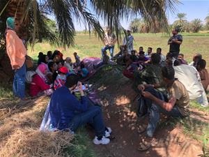  Les participants du séjour à Assouan