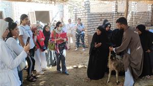  Les participants du séjour à Assouan