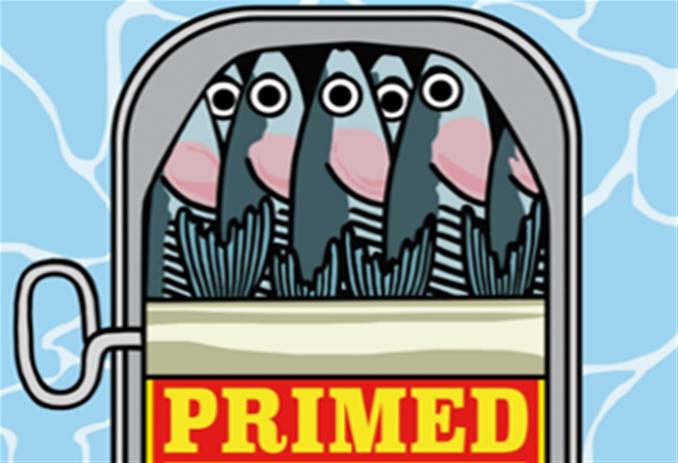 طالبتان مصريتان في مهرجان الأفلام الوثائقية بمرسيليا