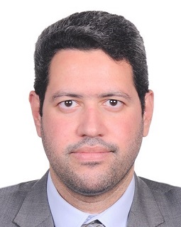 Prof. Mustafa Elnainay