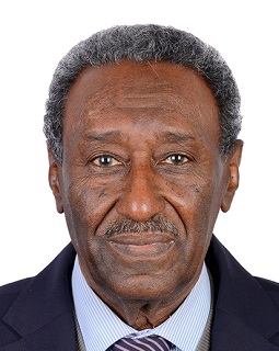 Prof. Abdin Mohamed Ali Salih