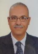 Essam Abdelmawla