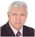 Hossam A. El Saghir