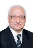 Mohsen Tawfik