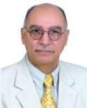 Salah A. Soliman