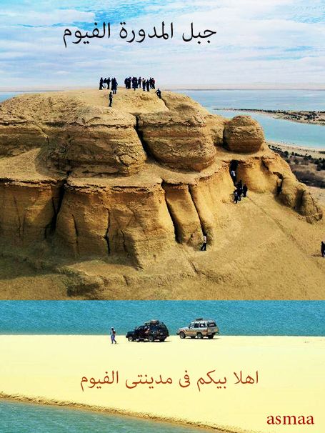المنتج النهائى