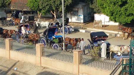 أثناء زيارة معبد حورس بمدينة إدفو