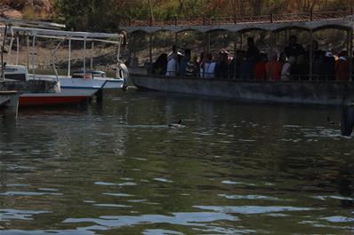 أثناء زيارة جزيرة فيلة