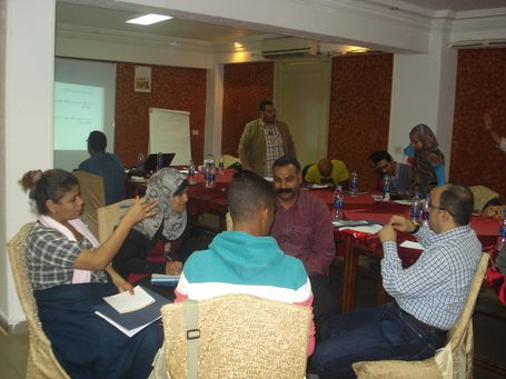 Building Perceptions and Developing Capacities in the Egyptian Cultural Fields  (The 1st Workshop)
