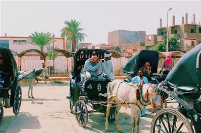While visitng the Temple of Horus, in Edfu