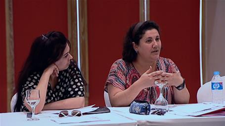 Building Perceptions and Developing Capacities in the Egyptian Cultural Fields - The 4th Workshop (Sharm el-Sheikh)