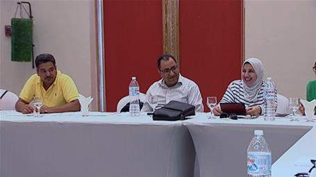 Building Perceptions and Developing Capacities in the Egyptian Cultural Fields - The 4th Workshop (Sharm el-Sheikh)