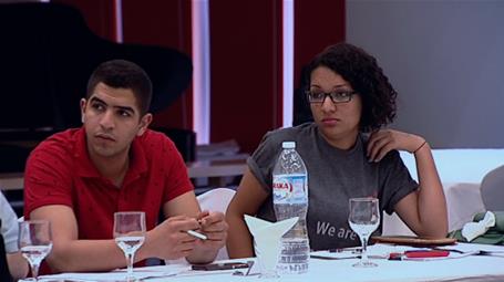 Building Perceptions and Developing Capacities in the Egyptian Cultural Fields - The 4th Workshop (Sharm el-Sheikh)