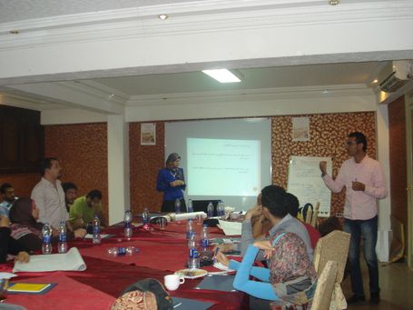 Building Perceptions and Developing Capacities in the Egyptian Cultural Fields  (The 1st Workshop)