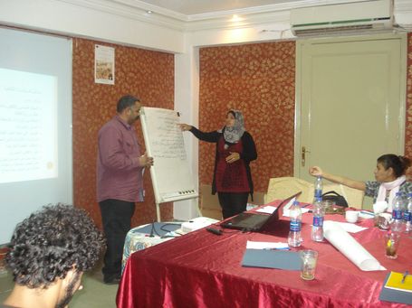 Building Perceptions and Developing Capacities in the Egyptian Cultural Fields  (The 1st Workshop)