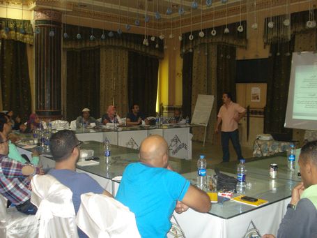 Building Perceptions and Developing Capacities in the Egyptian Cultural Fields  (The 1st Workshop)