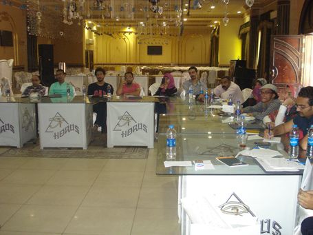 Building Perceptions and Developing Capacities in the Egyptian Cultural Fields  (The 1st Workshop)