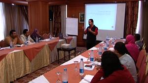 Building Perceptions and Developing Capacities in the Egyptian Cultural Fields - The 2nd Workshop (Aswan)