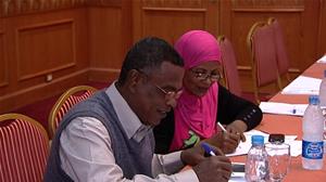 Building Perceptions and Developing Capacities in the Egyptian Cultural Fields - The 2nd Workshop (Aswan)