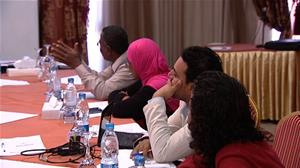 Building Perceptions and Developing Capacities in the Egyptian Cultural Fields - The 2nd Workshop (Aswan)