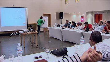 Building Perceptions and Developing Capacities in the Egyptian Cultural Fields - The 4th Workshop (Sharm el-Sheikh)