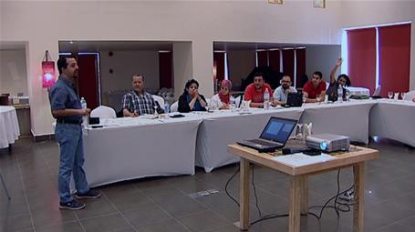 Building Perceptions and Developing Capacities in the Egyptian Cultural Fields - The 4th Workshop (Sharm el-Sheikh)