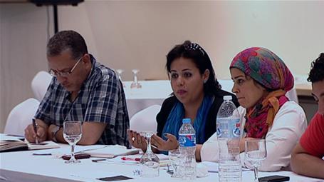 Building Perceptions and Developing Capacities in the Egyptian Cultural Fields - The 4th Workshop (Sharm el-Sheikh)