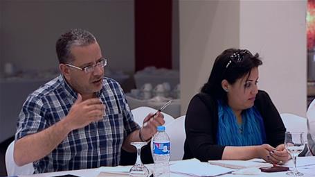 Building Perceptions and Developing Capacities in the Egyptian Cultural Fields - The 4th Workshop (Sharm el-Sheikh)