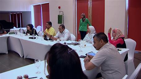 Building Perceptions and Developing Capacities in the Egyptian Cultural Fields - The 4th Workshop (Sharm el-Sheikh)