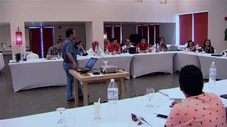 Building Perceptions and Developing Capacities in the Egyptian Cultural Fields - The 4th Workshop (Sharm el-Sheikh)