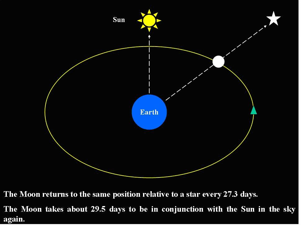 Песня the sun proposed to the moon. Earth's Orbit around the Sun. Earth Orbits the Sun. The Moon Orbits: the Sun. The Moon Orbits around the Earth.